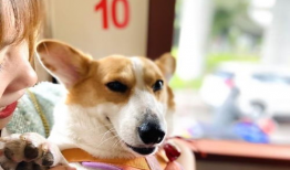 吃瓜娱乐 爆料网站大全,揭秘热门八卦资讯！